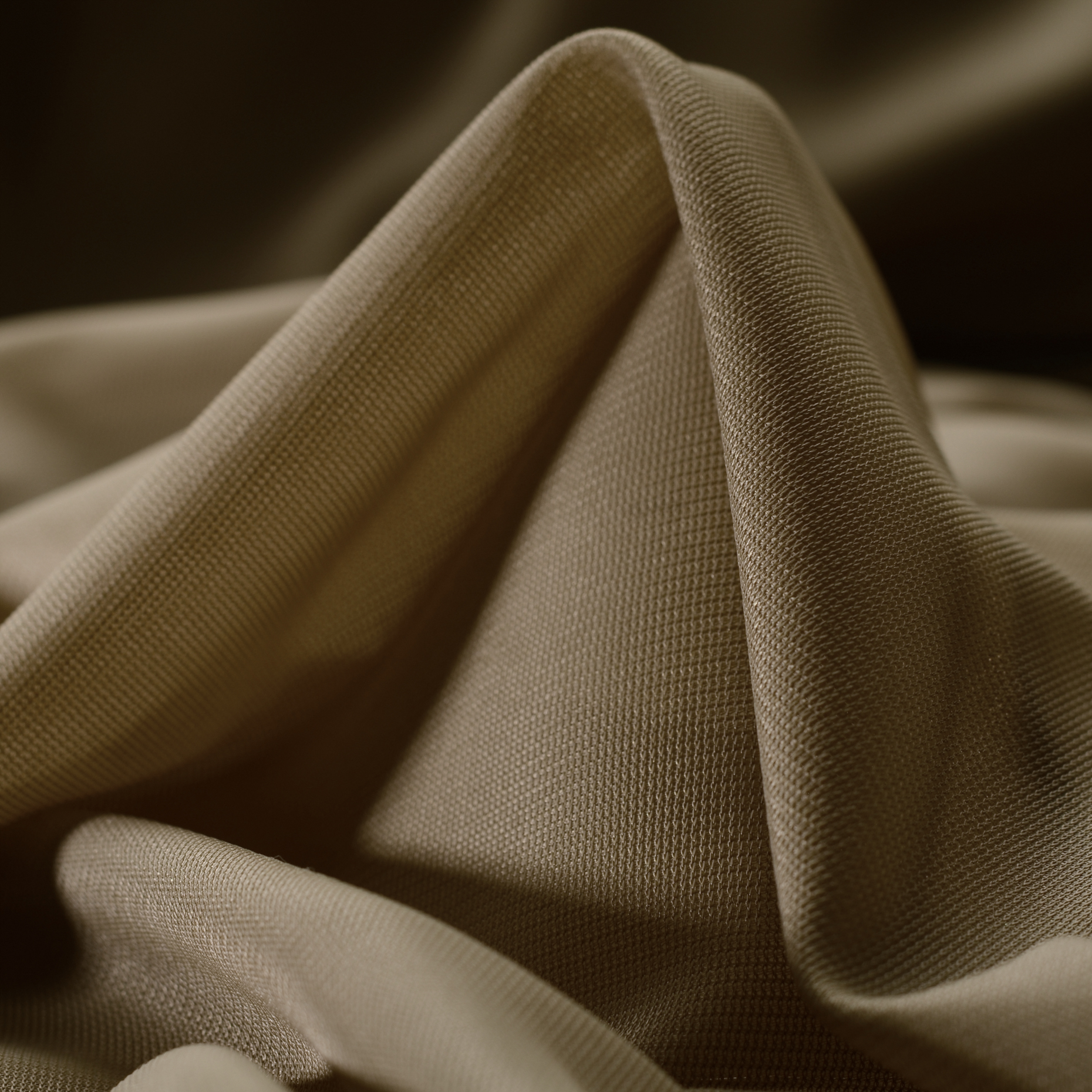 Single Jersey, Safari (F000020210)