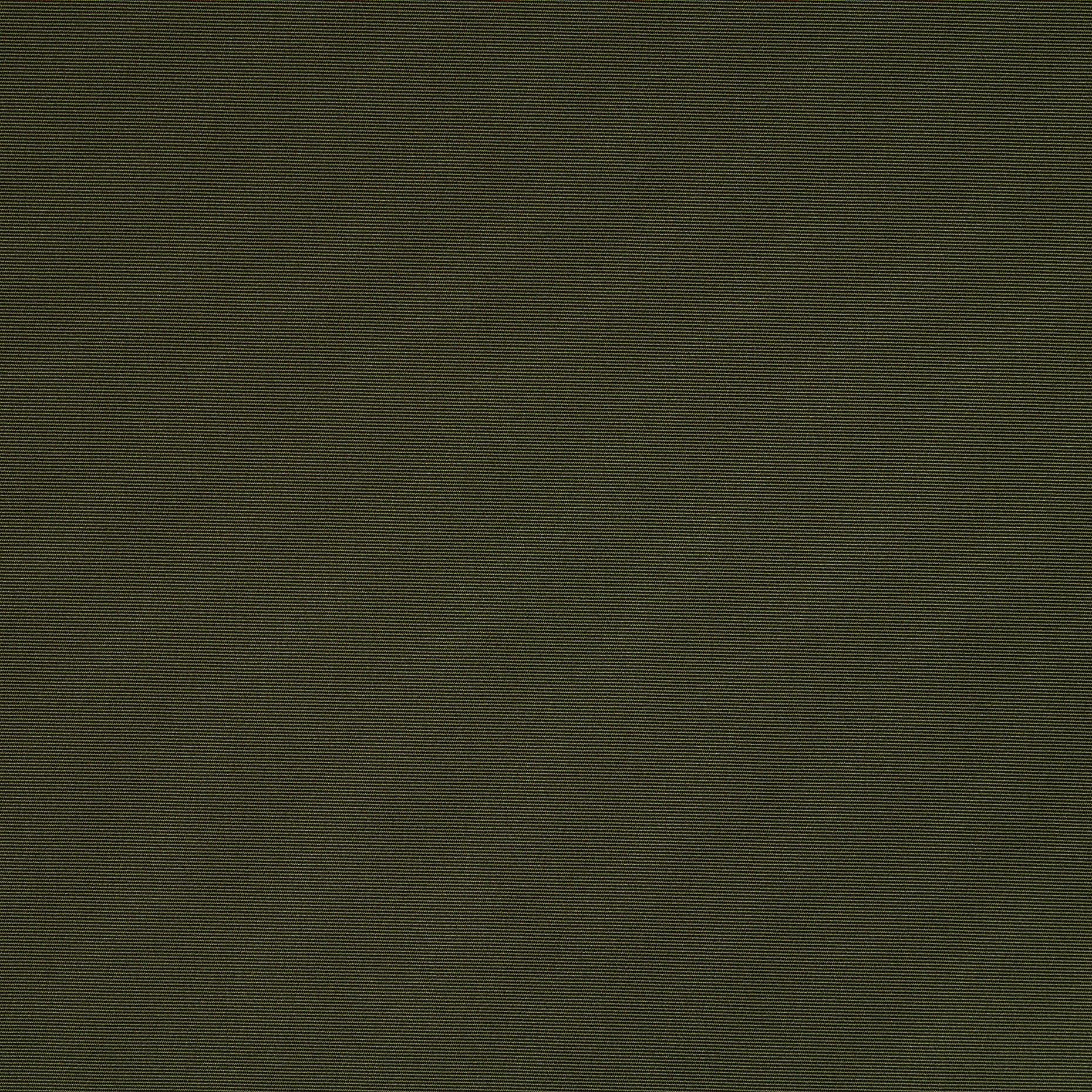 Outdoor, Cypress (F000041917) - Trama