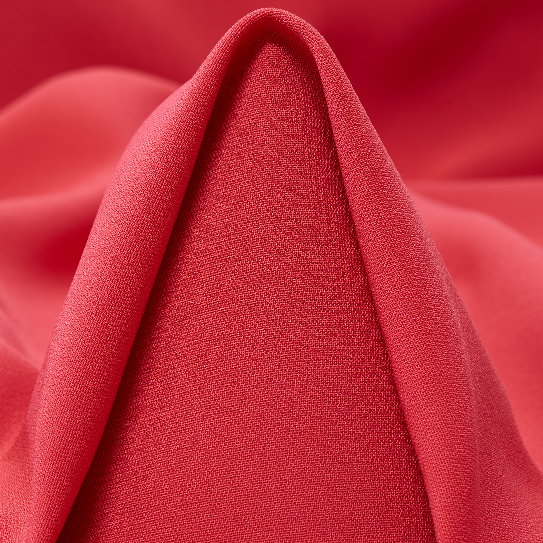 CADY, ELASTIC, HIBISCUS (F000049417)