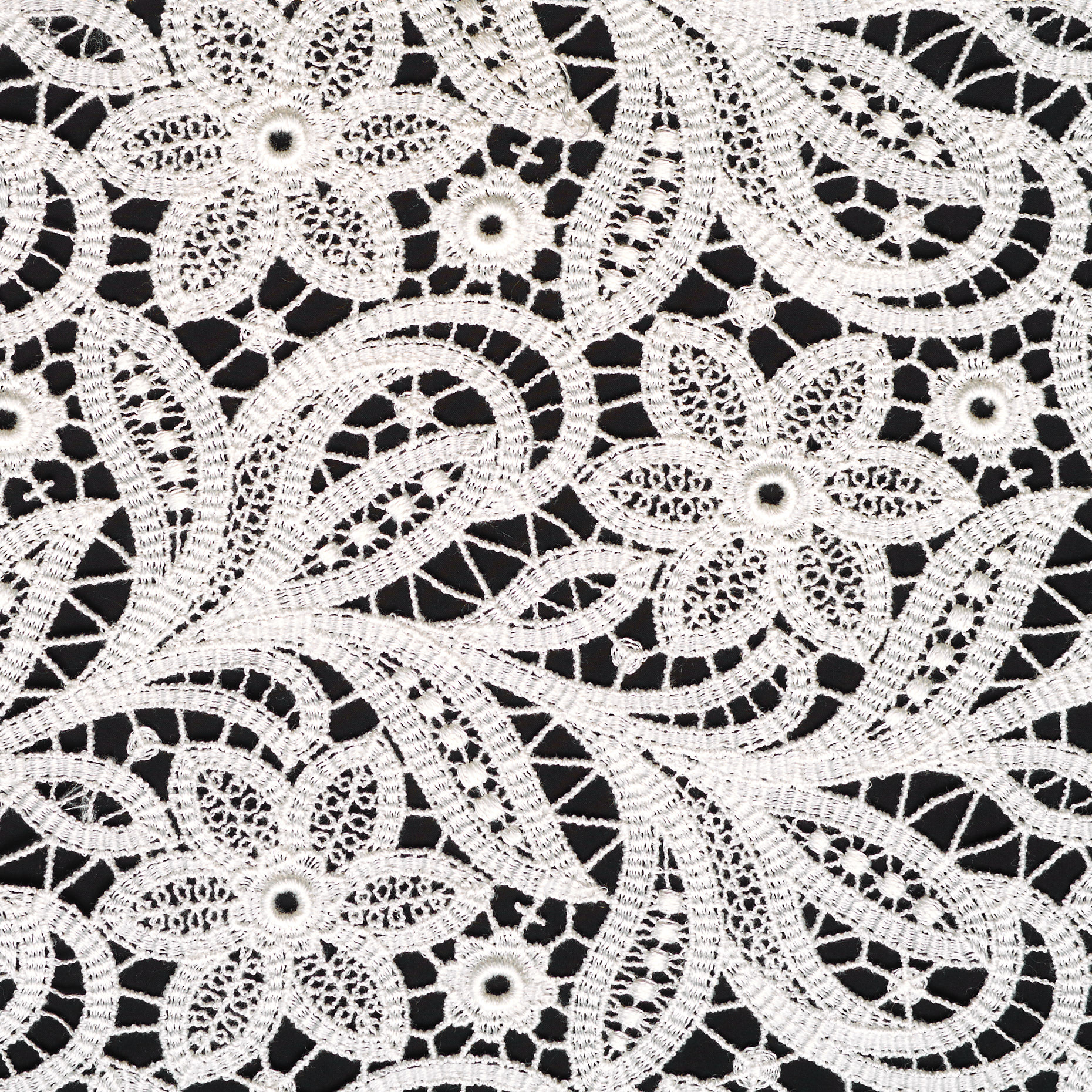 LACE, COTTON, FLORAL, SNOW WHITE (B0000033) - Texture