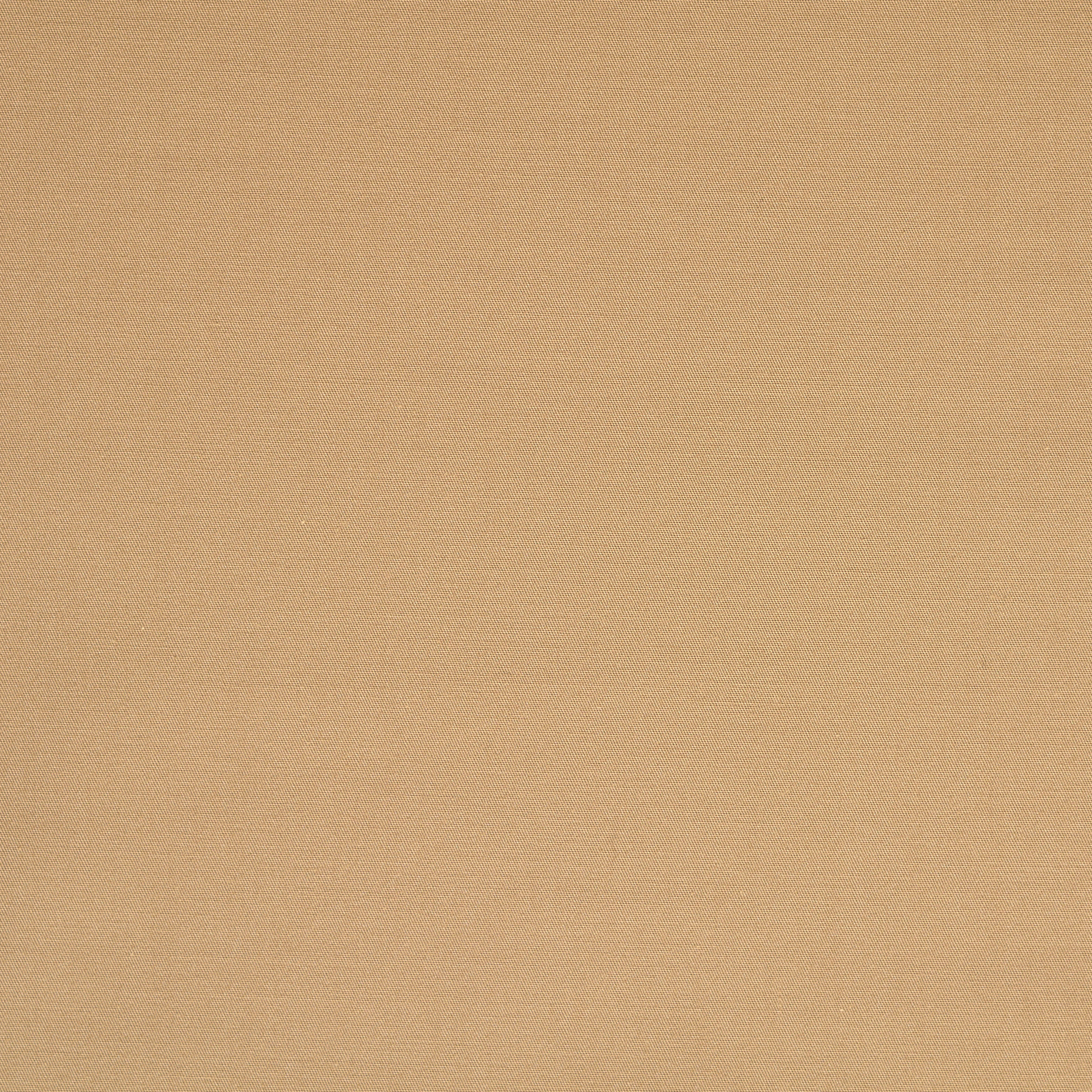 TWILL, COTTON, ELASTIC, IRISH CREAM (F000009774) - Texture