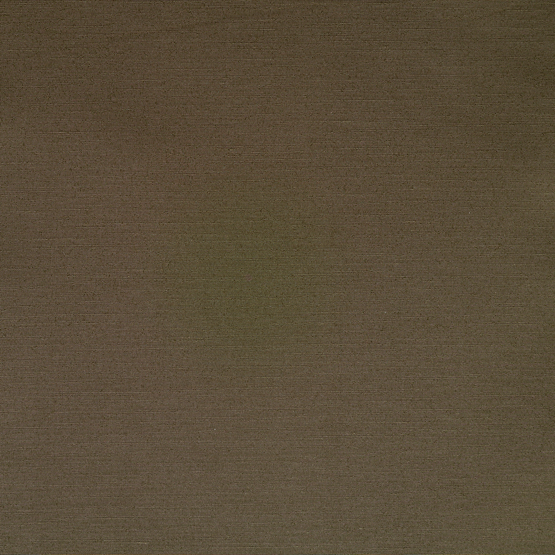 OUTDOOR, TAFFETA, COATED, BURNT OLIVE (F000043200) - Texture