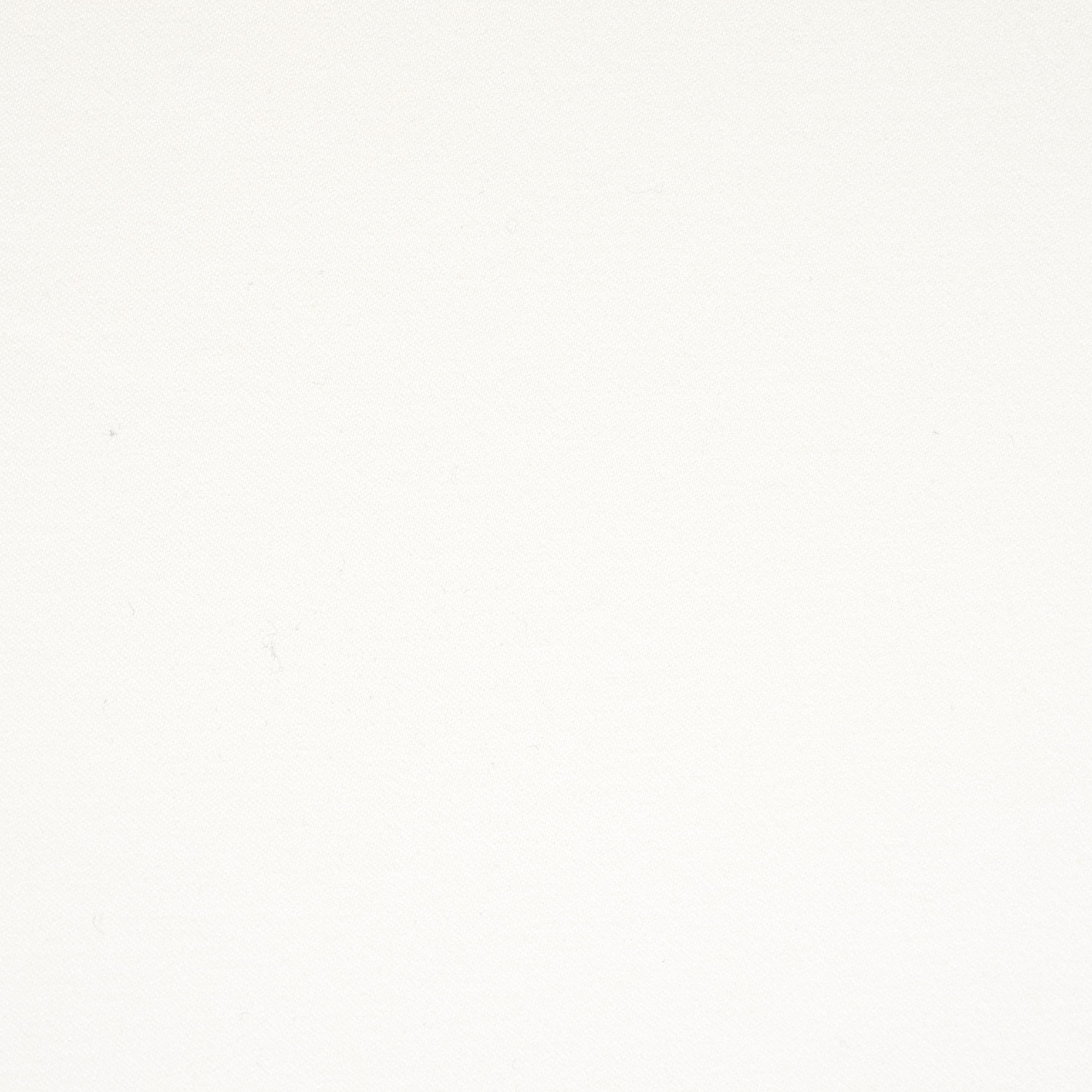 Coton , Élastique, Brushed, Lucent White (F000045104) - Tissage