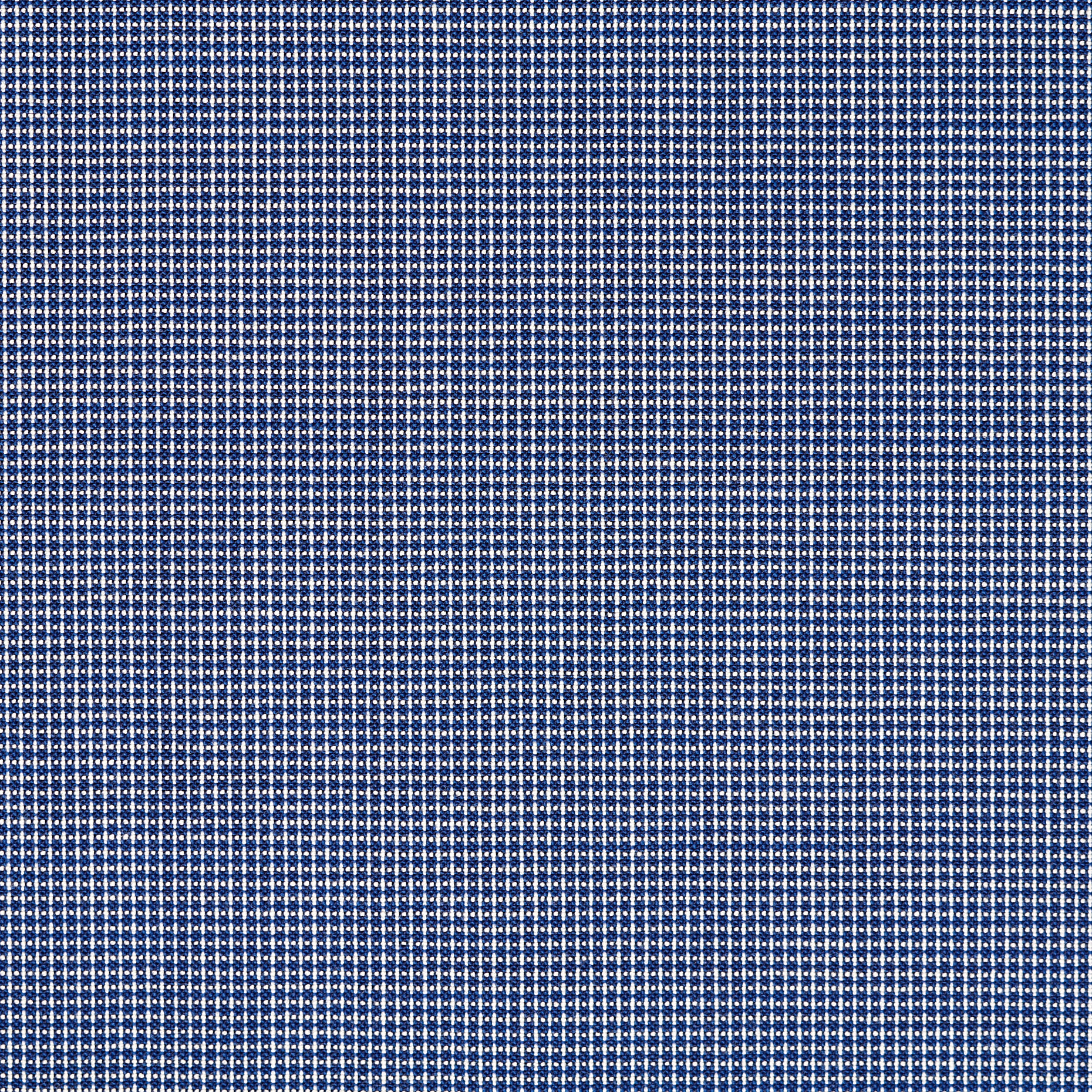 Cotone, Stretch, Micro Design, Oceana&Kit (F000042261) - Trama