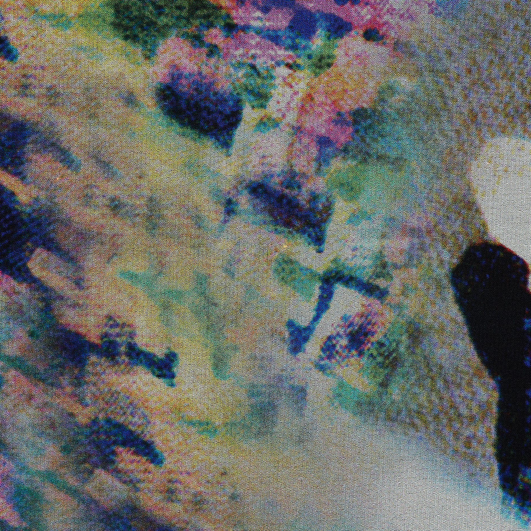 SILK, CRÊPE, PRINTED, MULTICOLOR (F000018732) - Texture