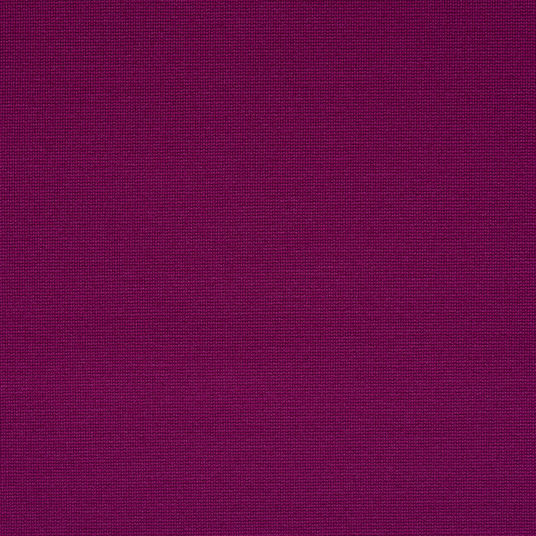 JERSEY, PUNTO MILANO, BRIGHT DALIA (P2-0001690) - Texture