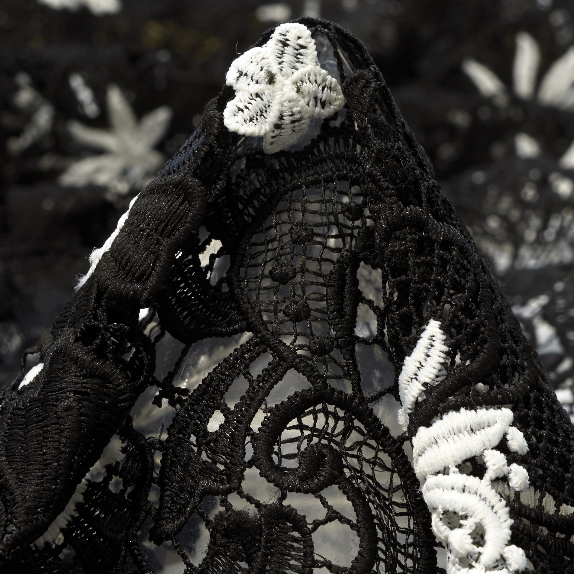 LACE, RAVEN BLACK&BRILLIANT WHITE (F000033272)