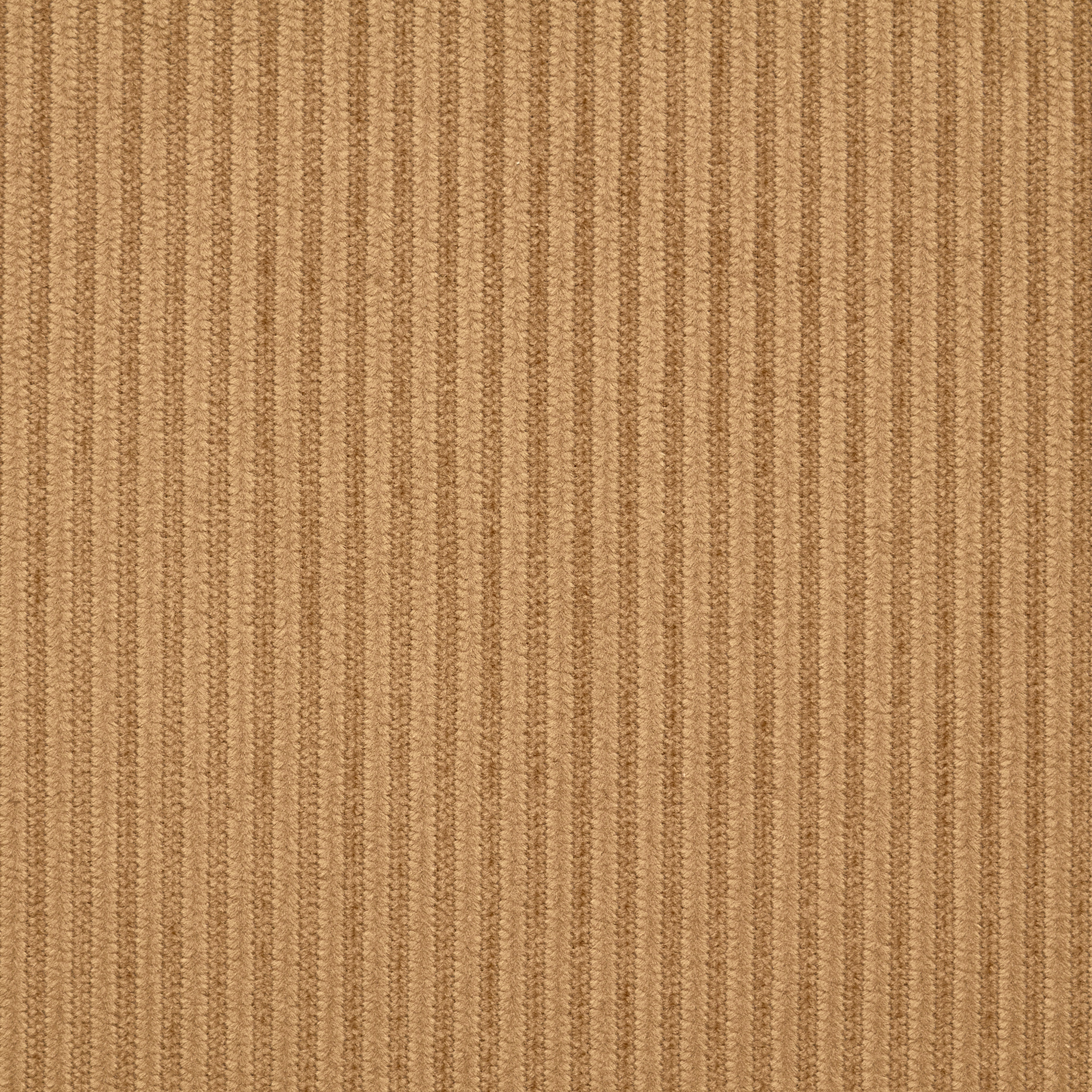 Cordura, Algodón, Elástico, Warm Sand (F000047676) - Tejido