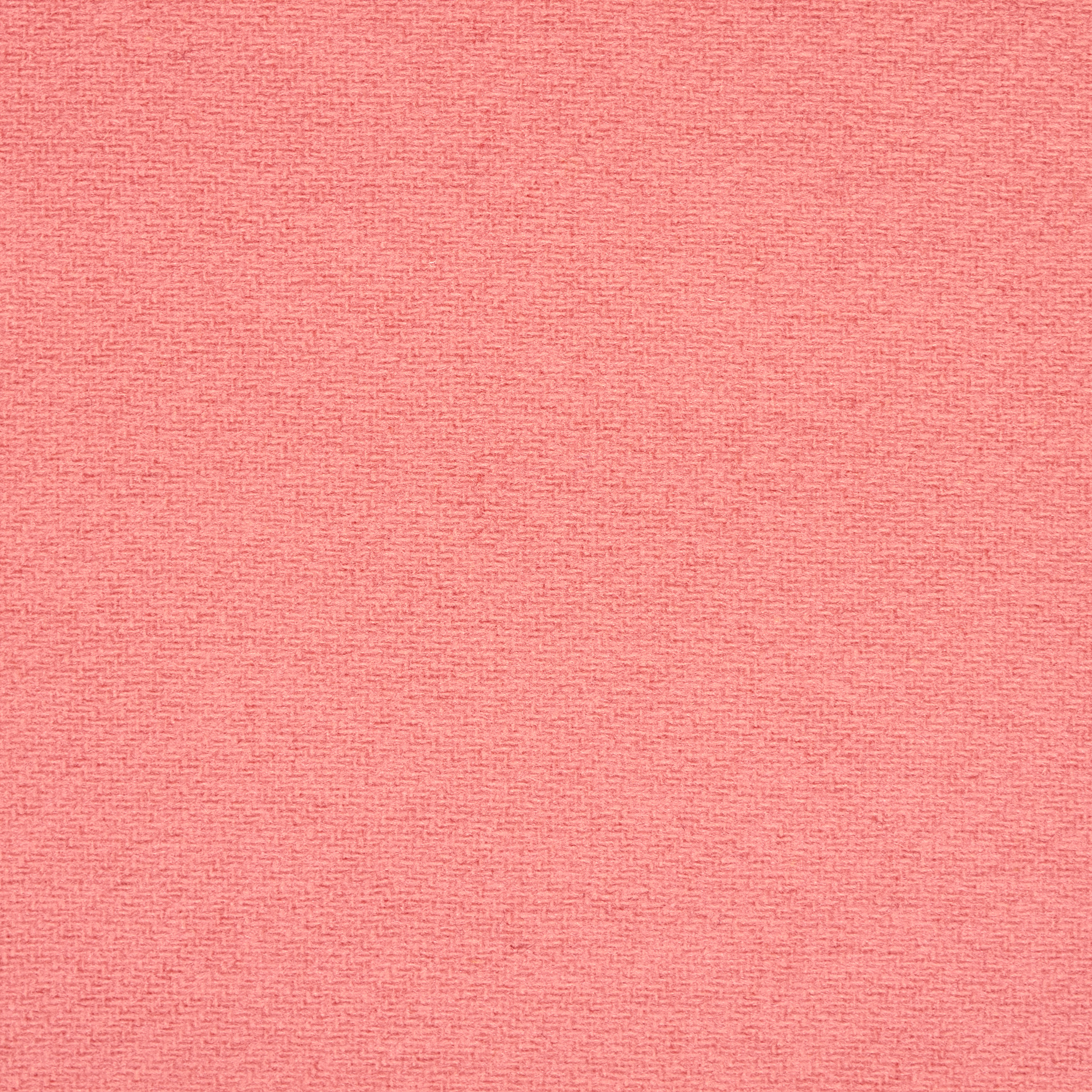 DOUBLE, BOILED WOOL, CASHMERE BLEND, FLAMINGO PINK (F000047034) - Texture