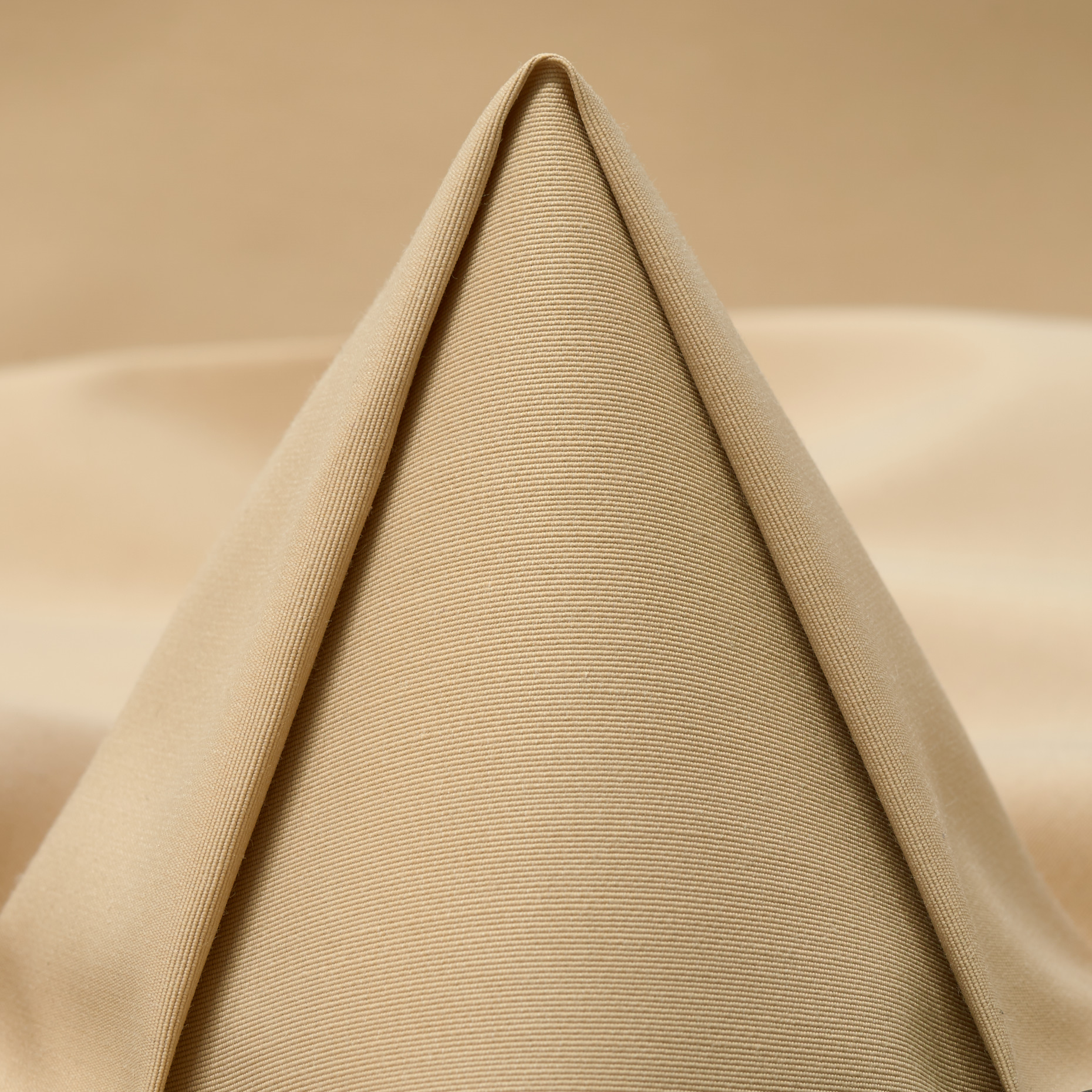 RIBS, COTTON, MOJAVE DESERT (F000048943)