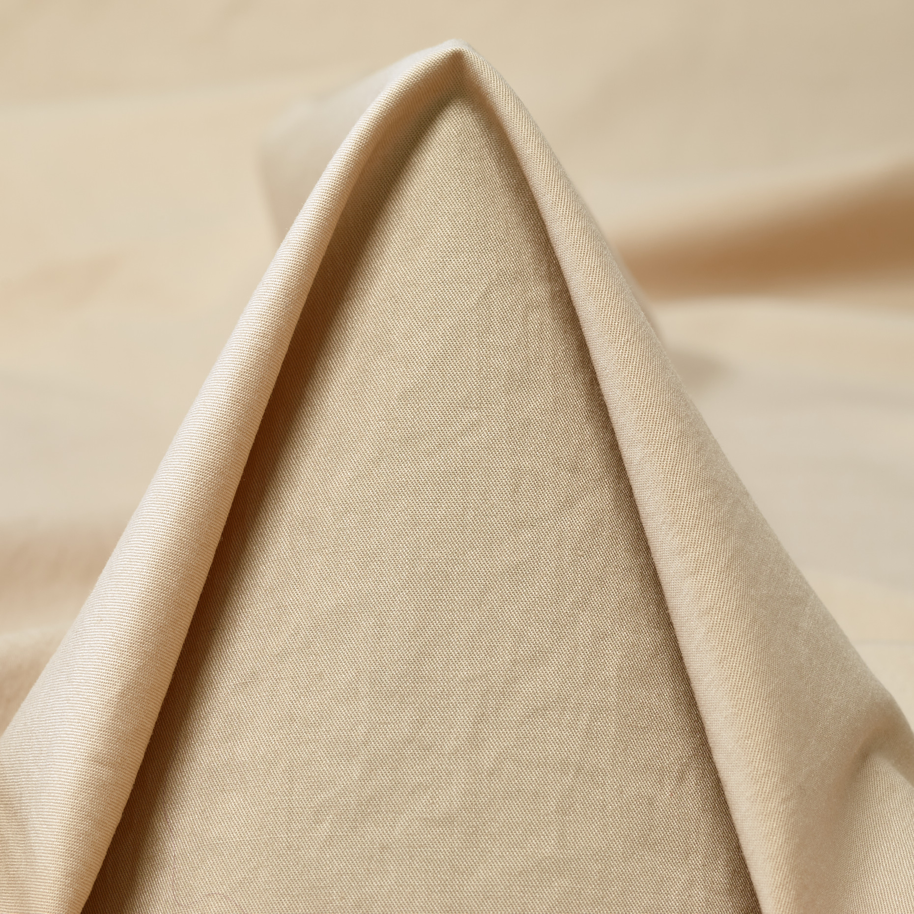 POPLIN, COTTON, ELASTIC, BONE WHITE (F000049475)