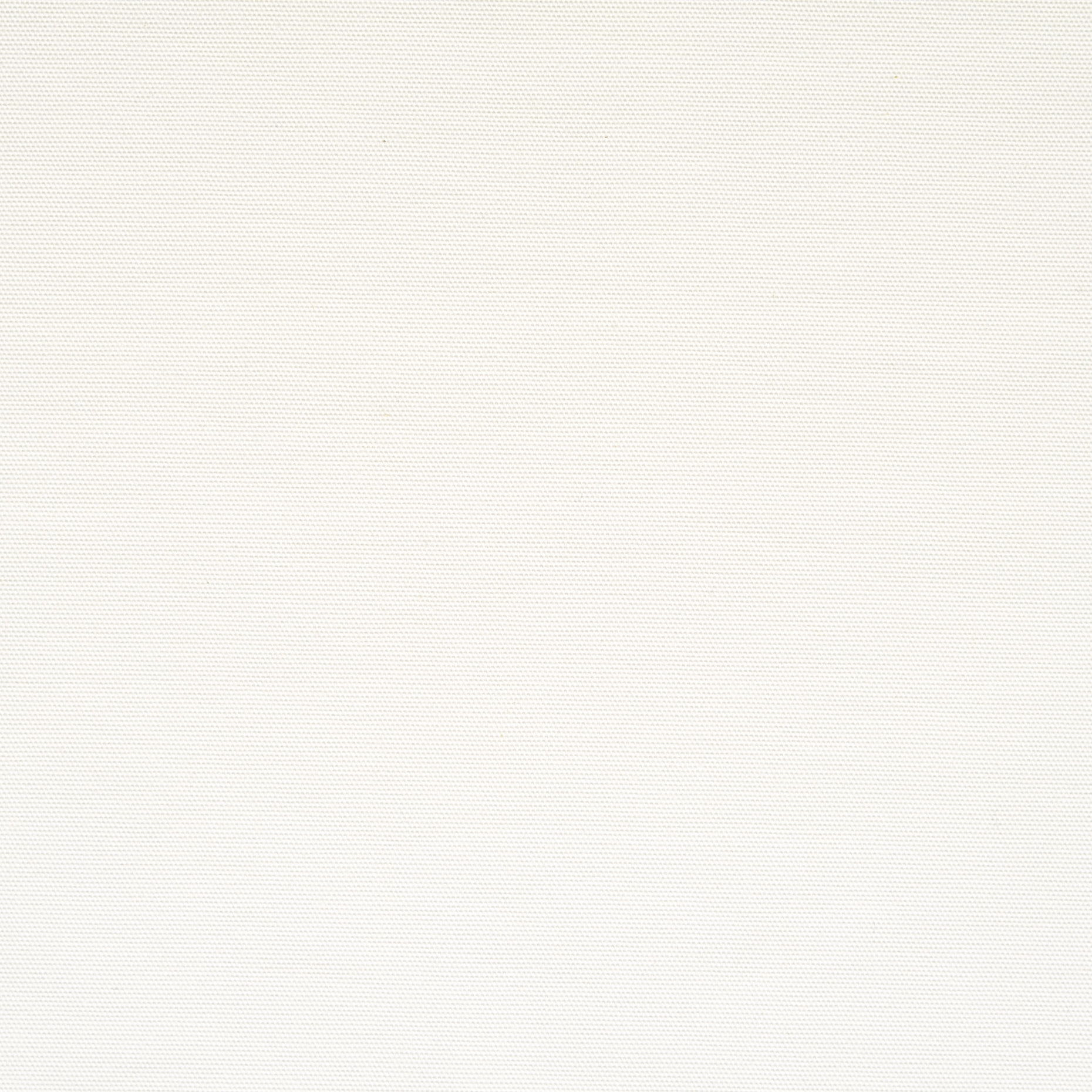 CANVAS, COTTON, BRILLIANT WHITE (F000008528) - Texture