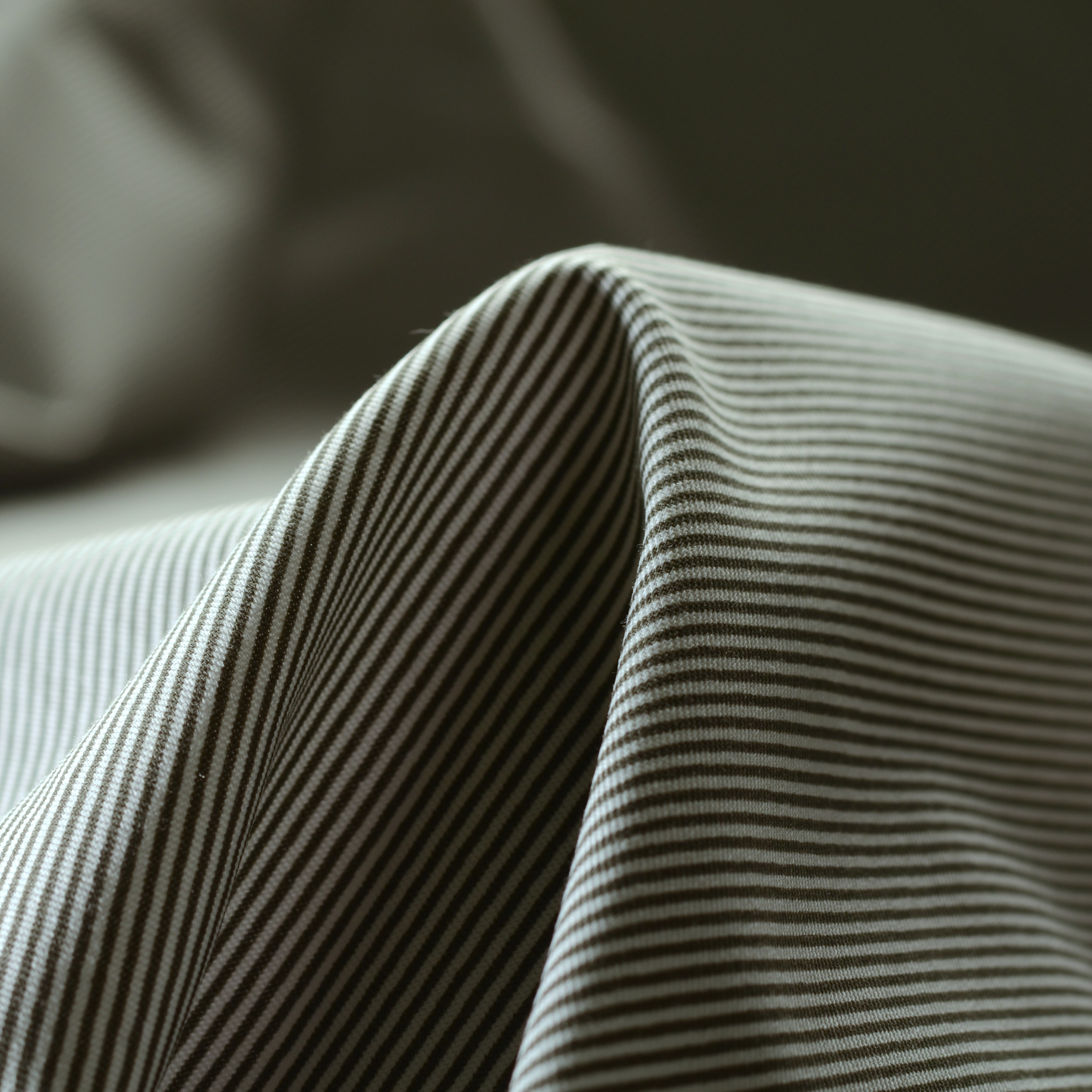 COTTON BLEND, STRIPES, BRILLIANT WHITE&CAPULET OLIVE