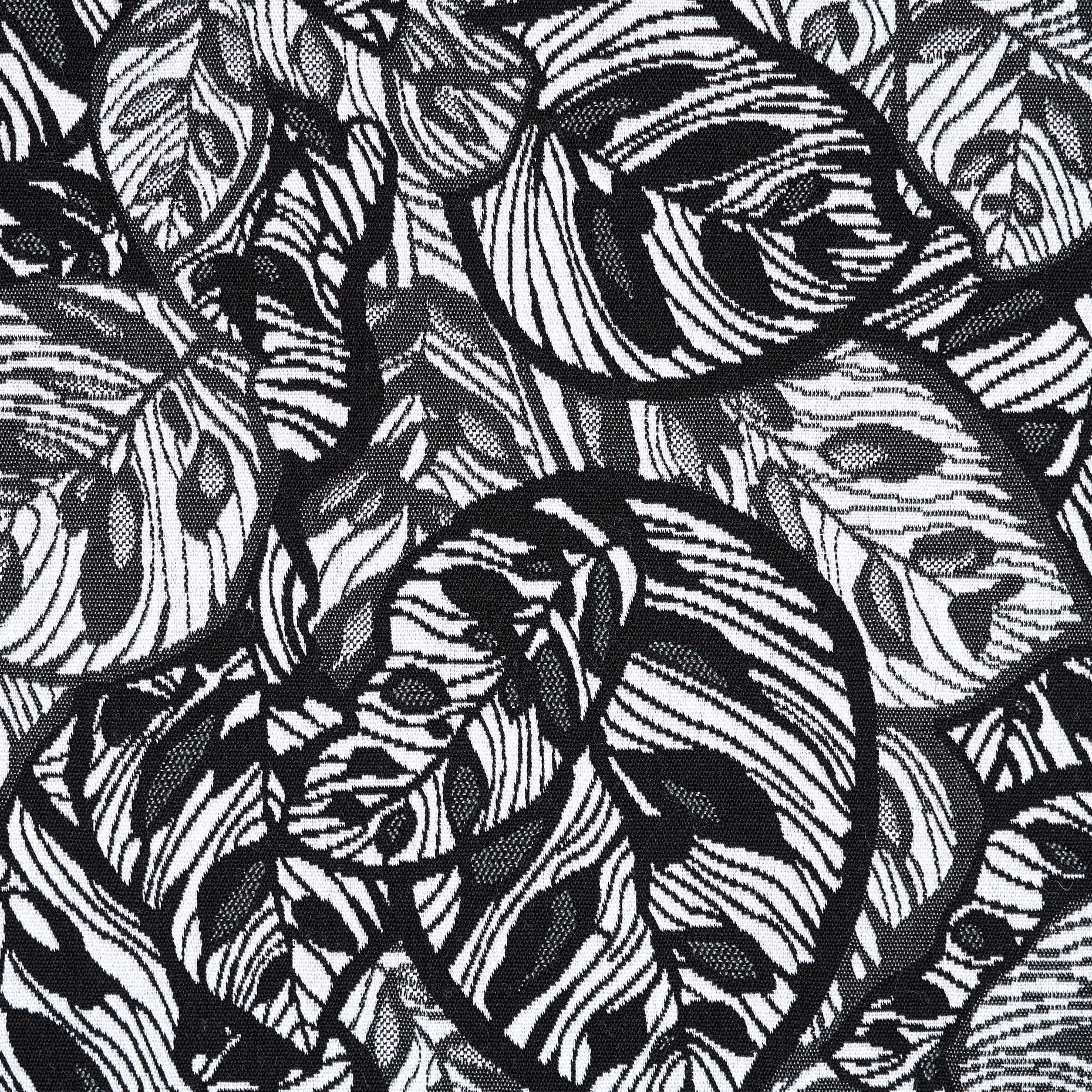 Jacquard, Coton, Elástique, Lucent White&Raven Black (P000003050) - Tissage