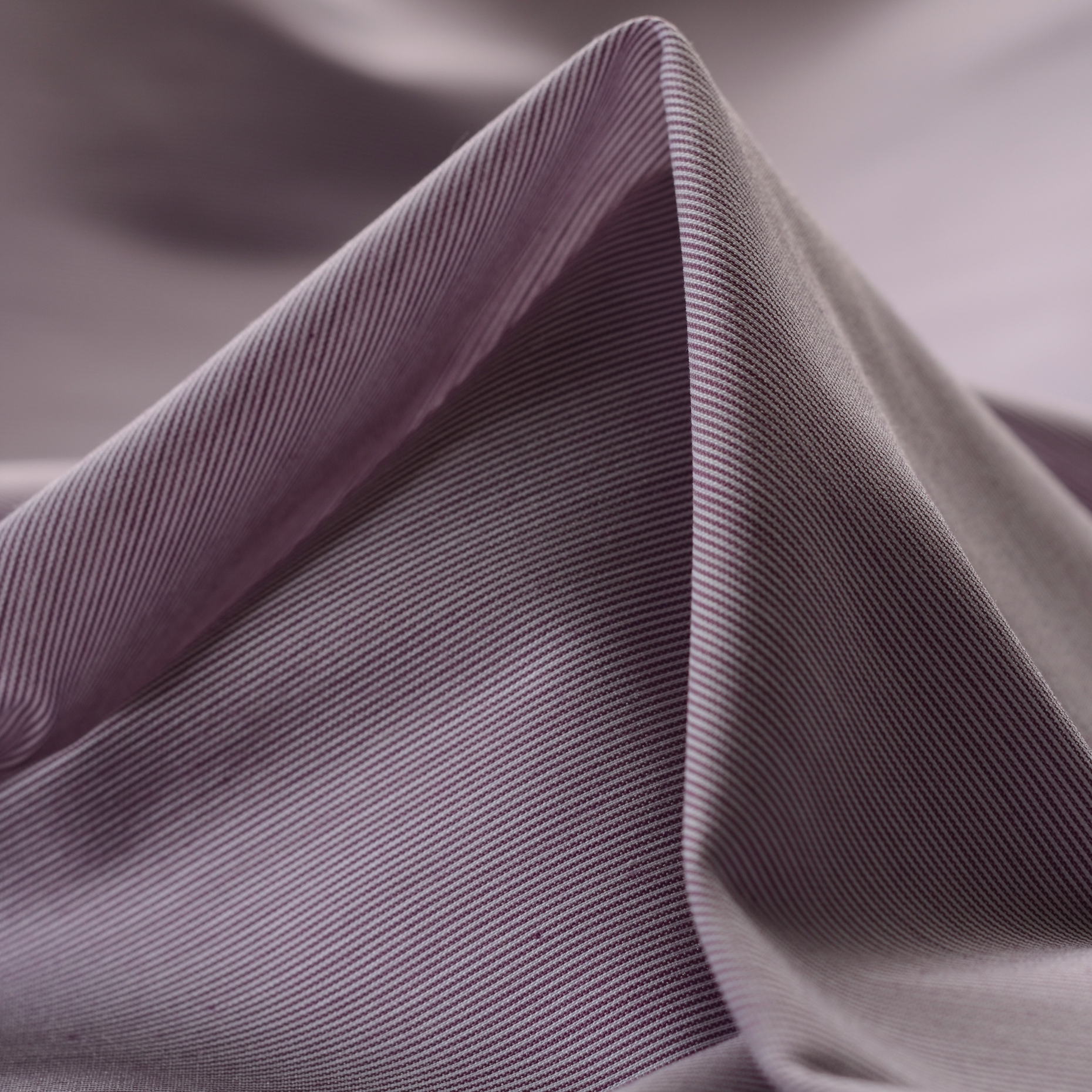 Popeline, Cotone, Rigato, Wineberry&Brilliant White