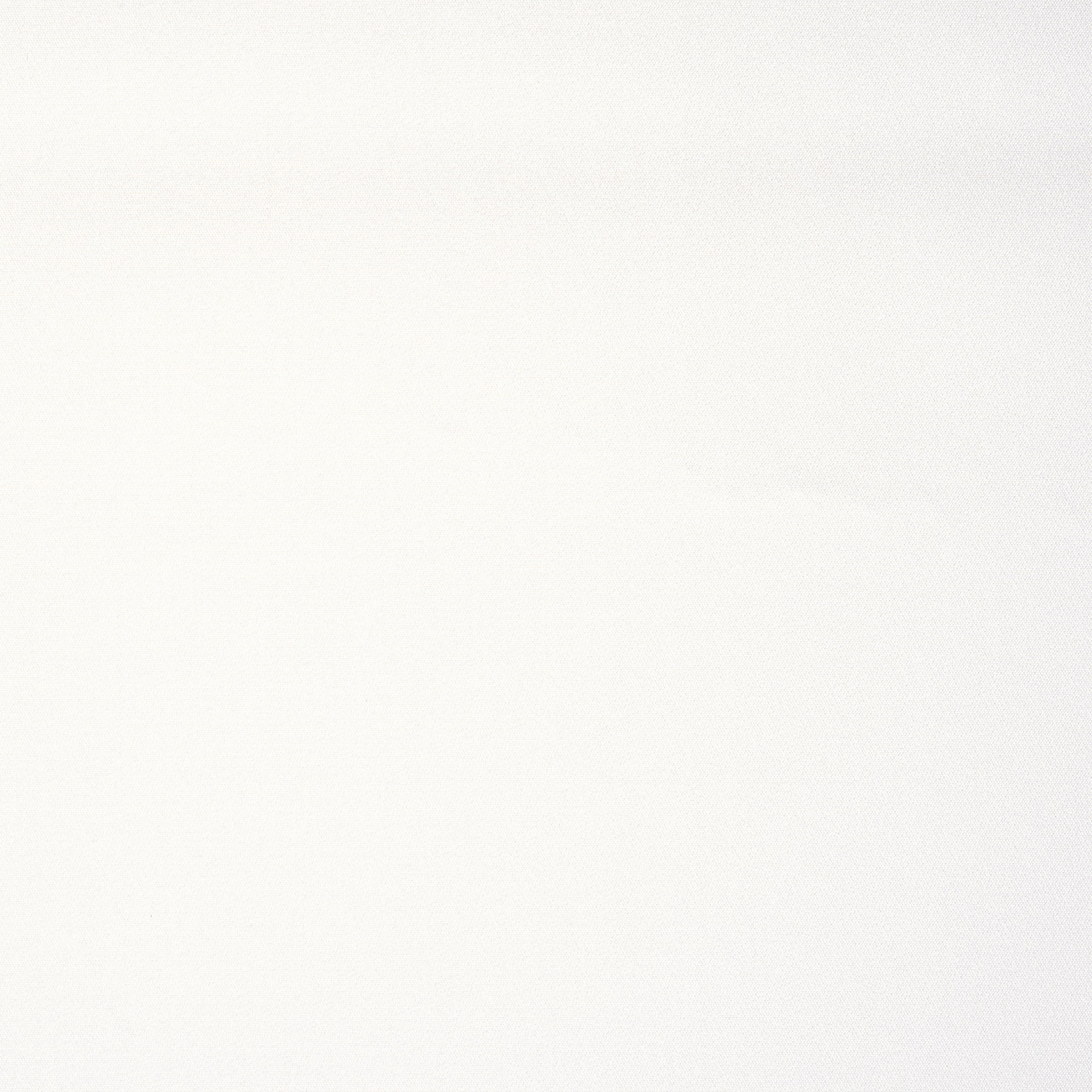 TAFFETA, SILK, SNOW WHITE (B0000016) - Texture