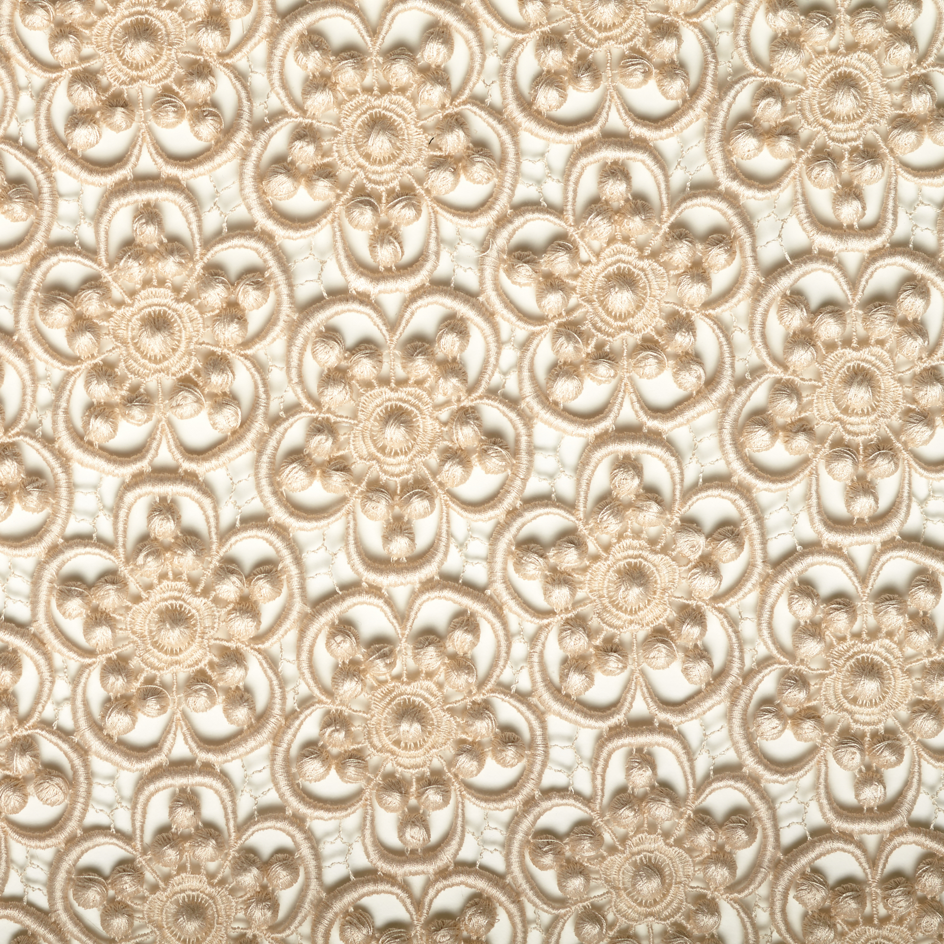 LACE, COTTON, FLORAL, VANILLA (F000033775) - Texture